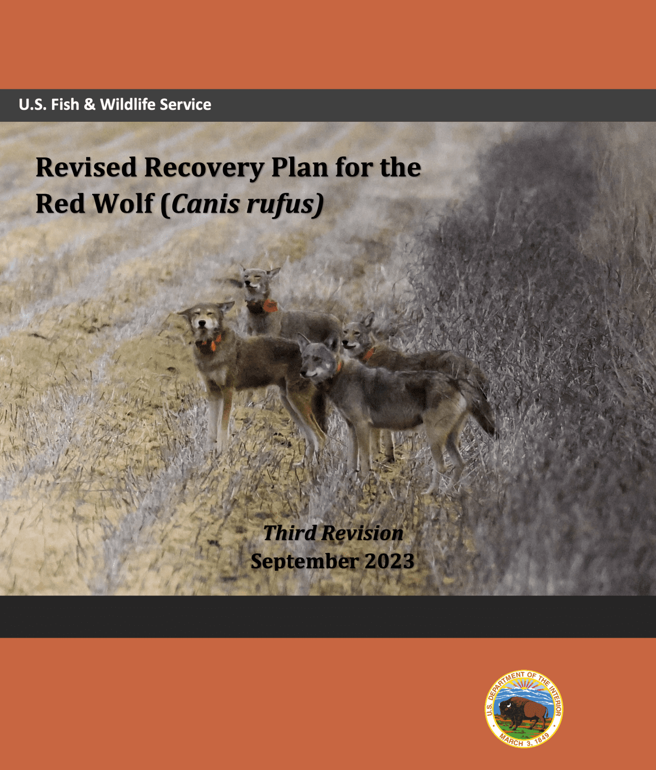 Red Wolf Recovery Plan Released - Save Red Wolves